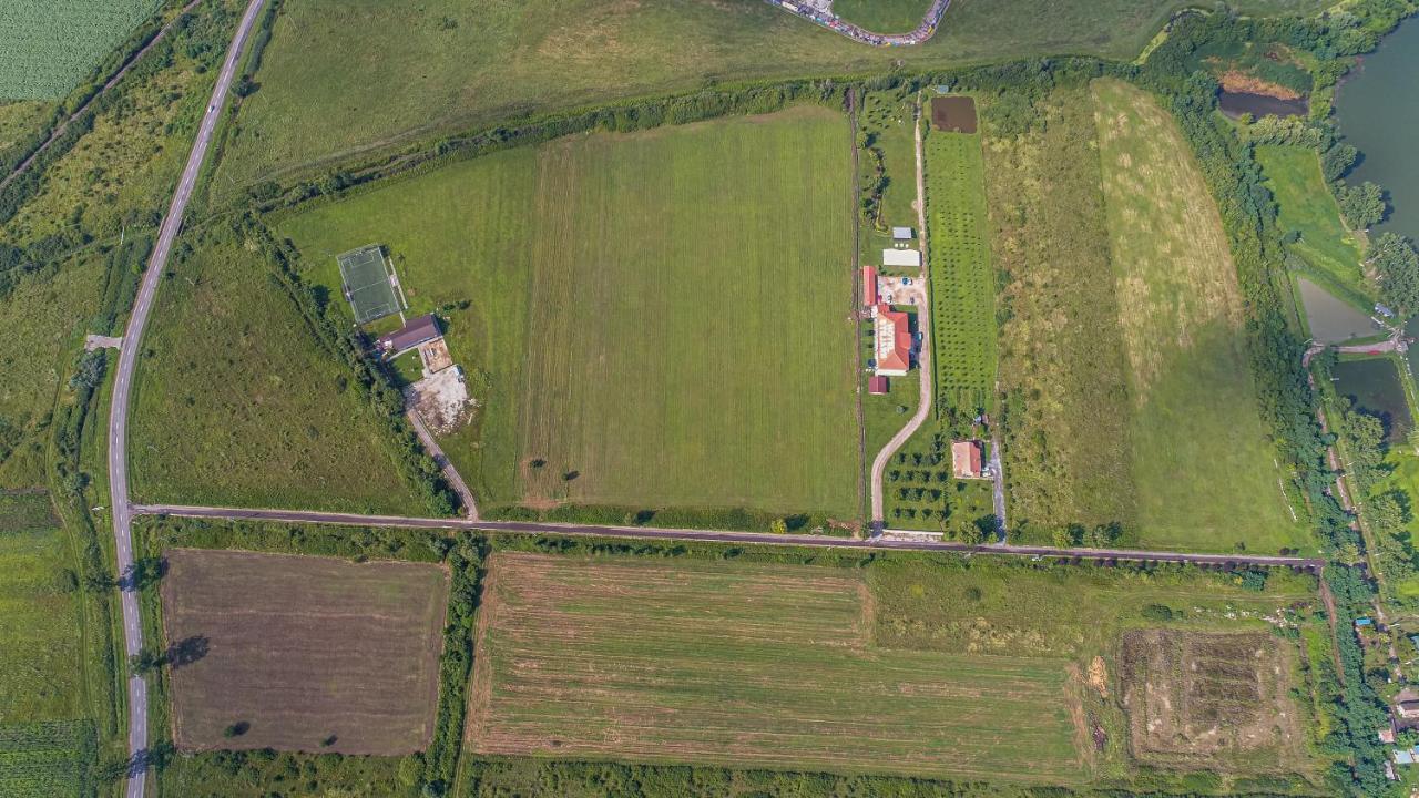 Stejarii Resort Ineu  Exteriör bild